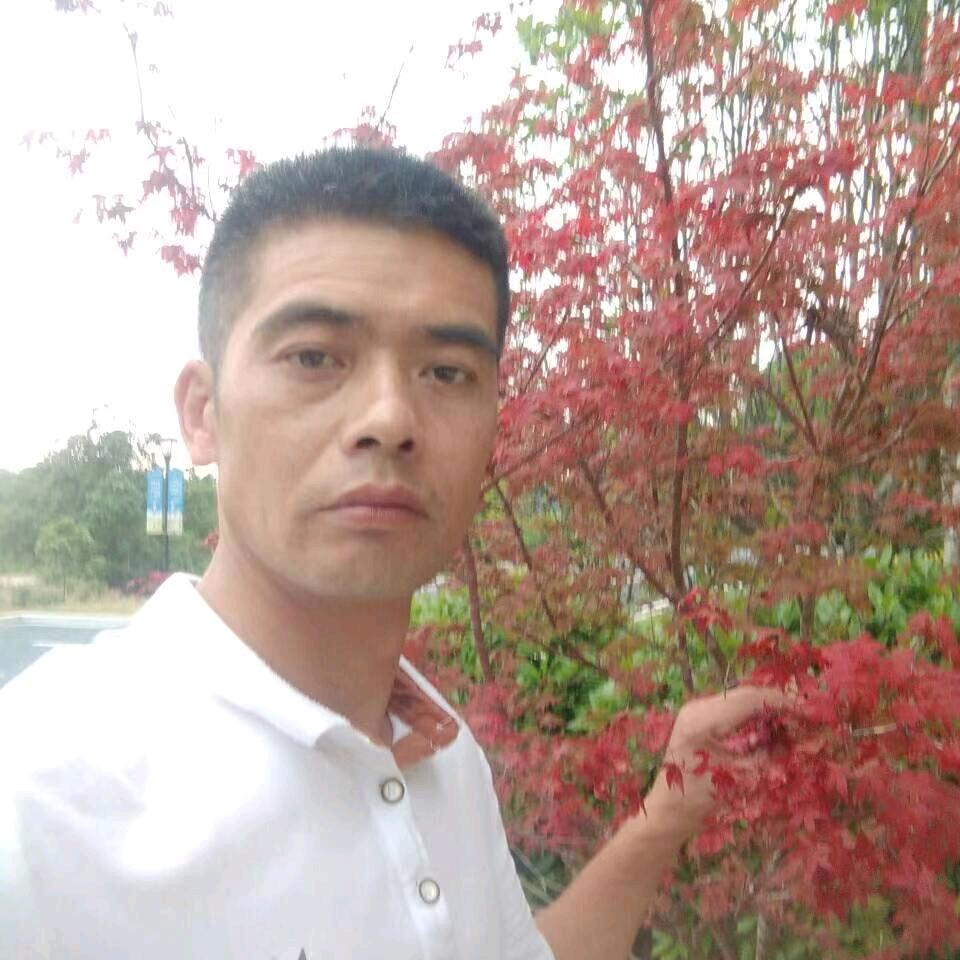 大山沟养蜂 (炳哥)