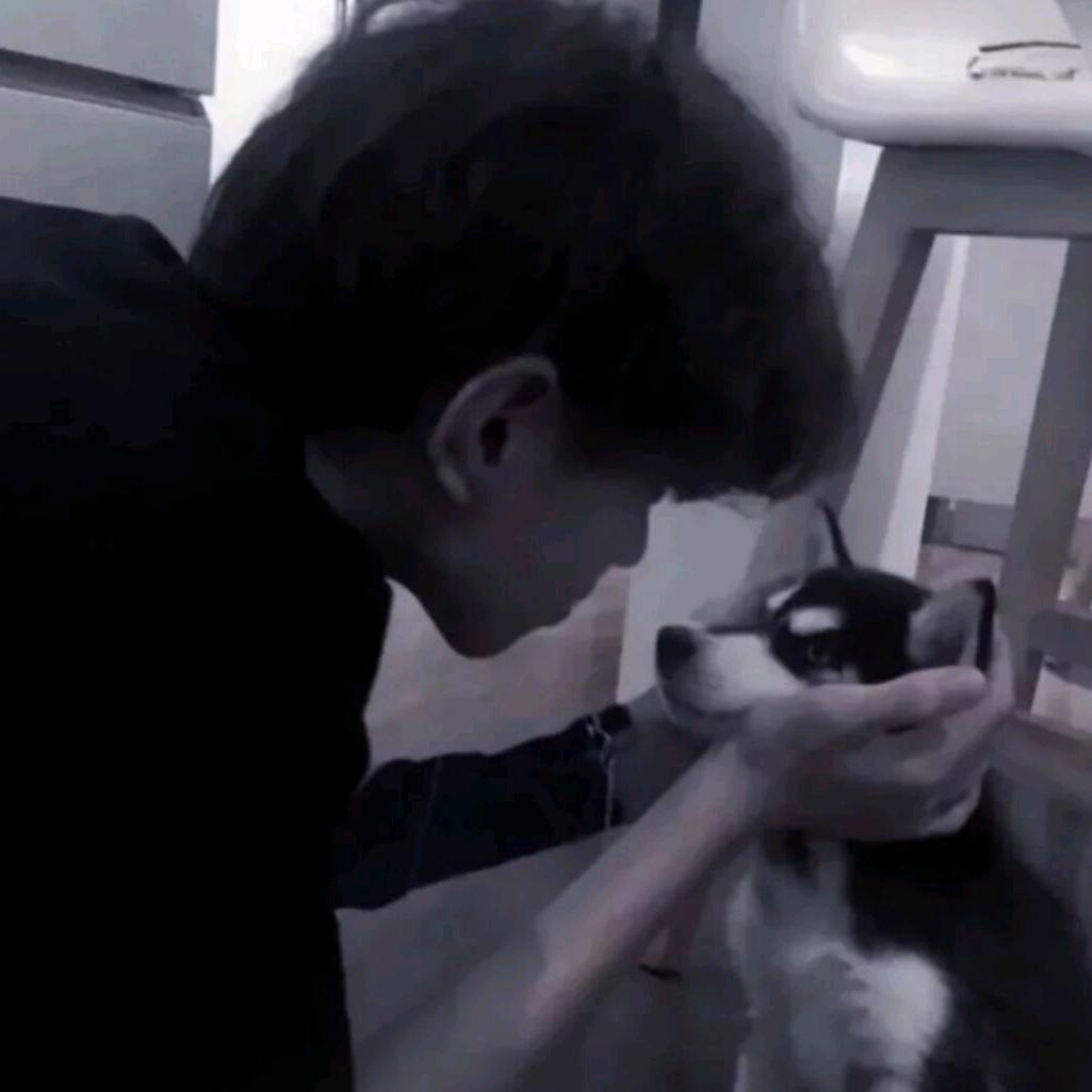 生椰拿铁🐾