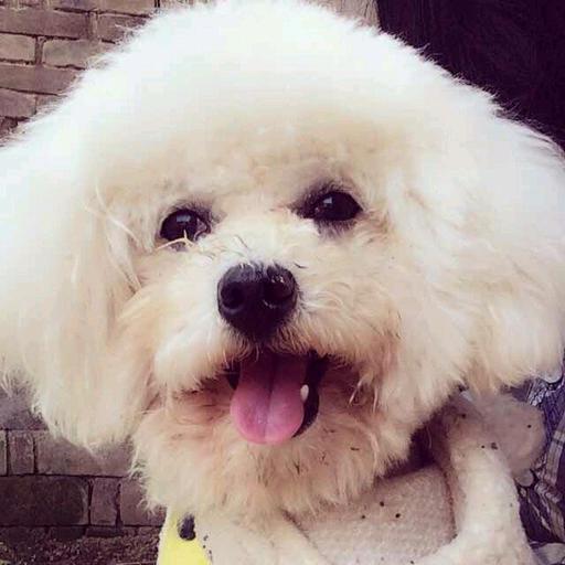 玎玎玎玎玎玎玎玎玎玎