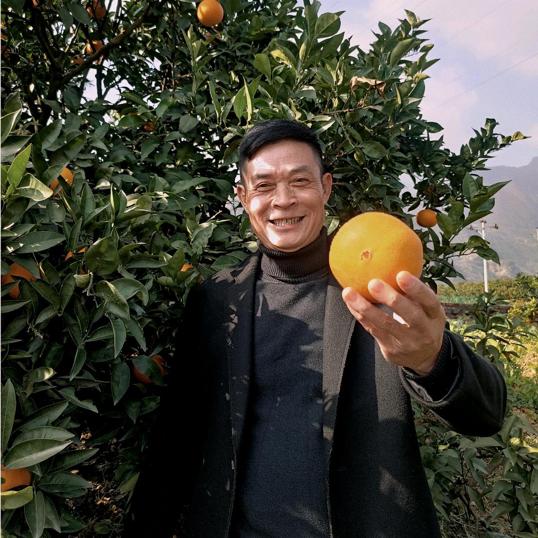 陈爱国给家乡卖橙子.