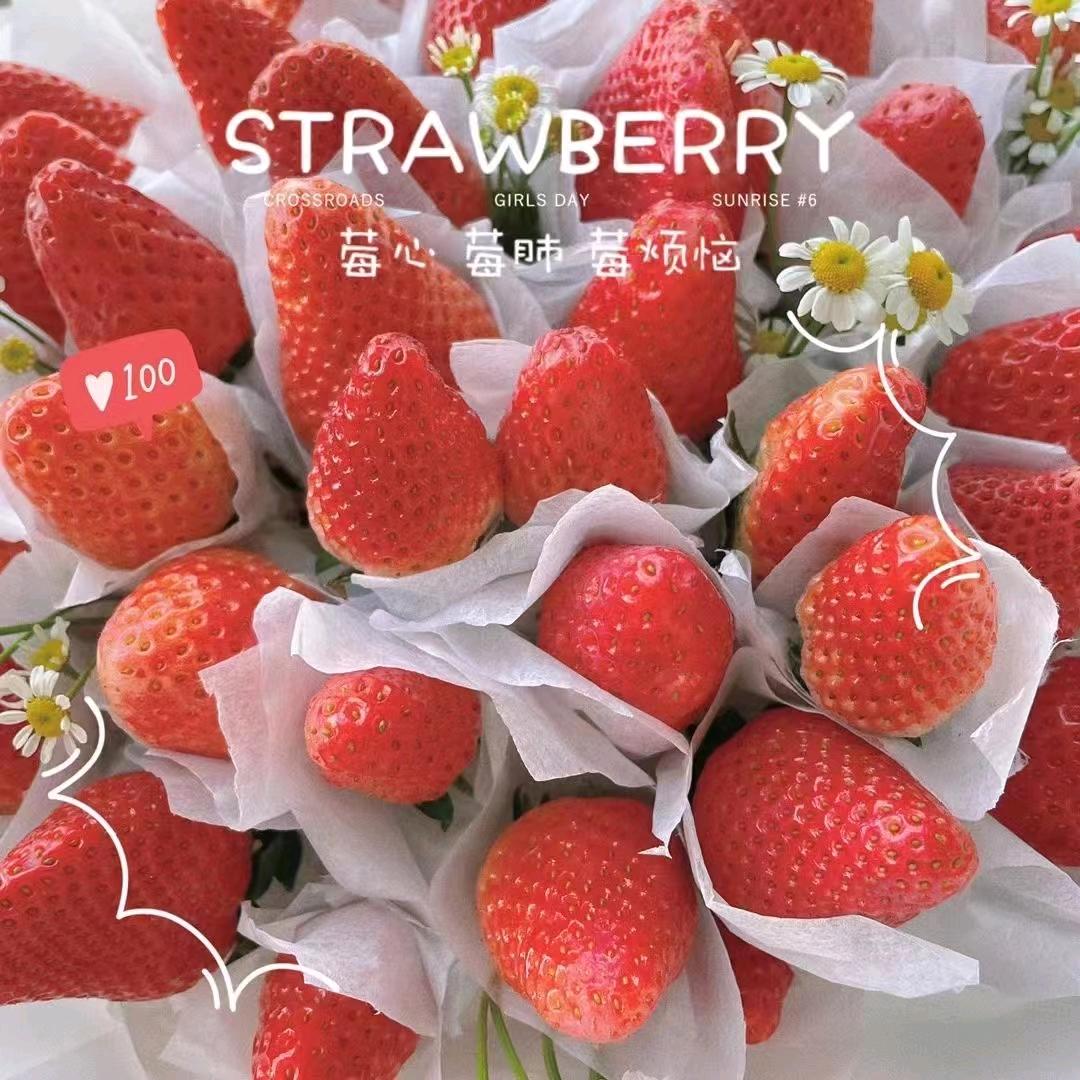 🌸陌然浅笑🌸