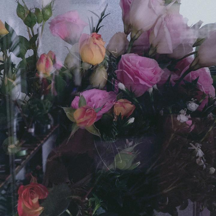 520