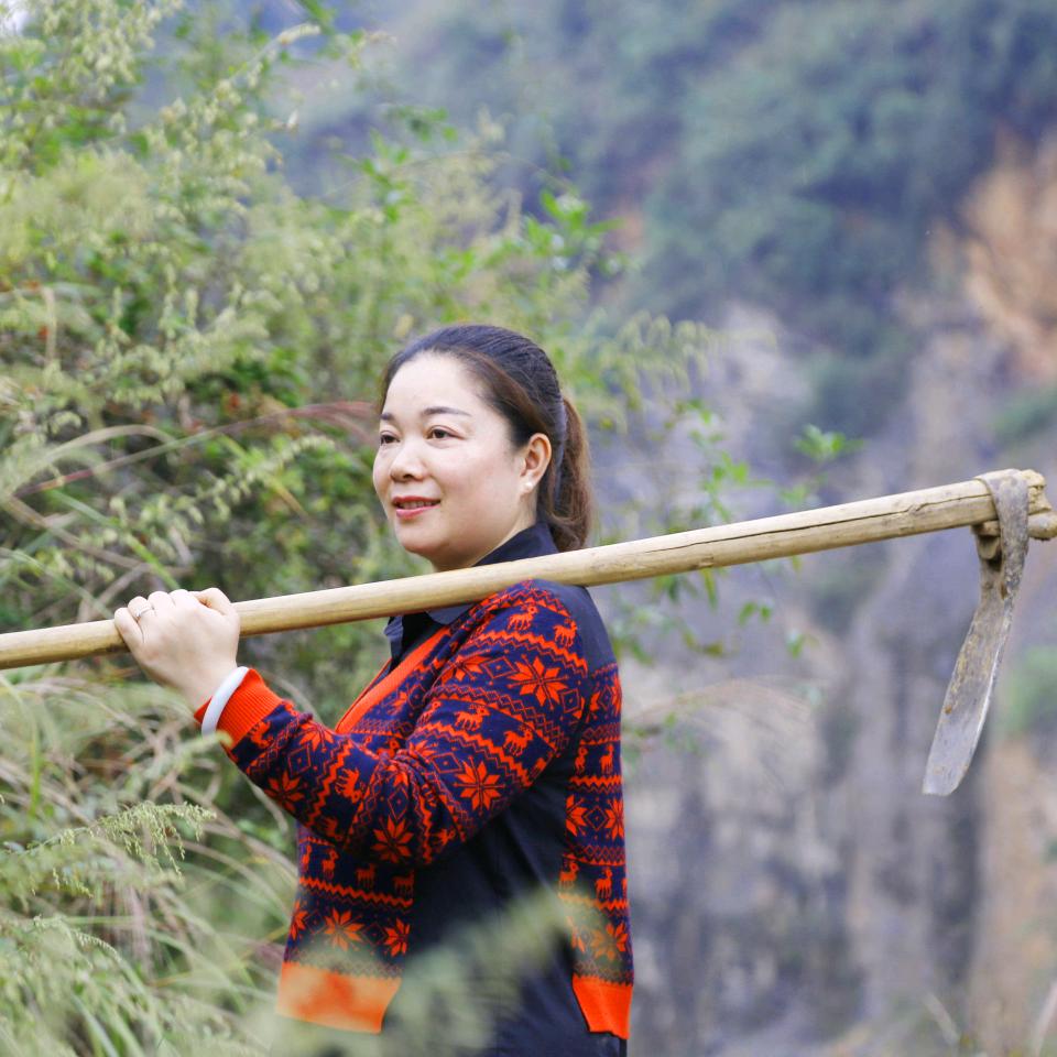 海枝妹