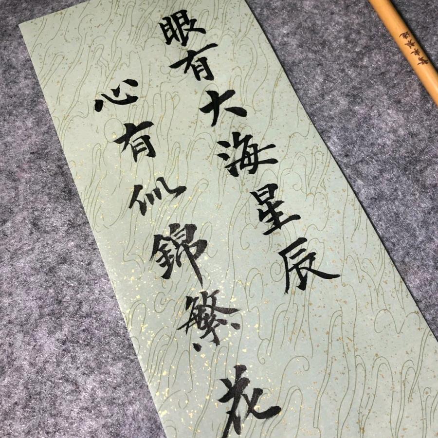 小杨小杨扬帆起航～