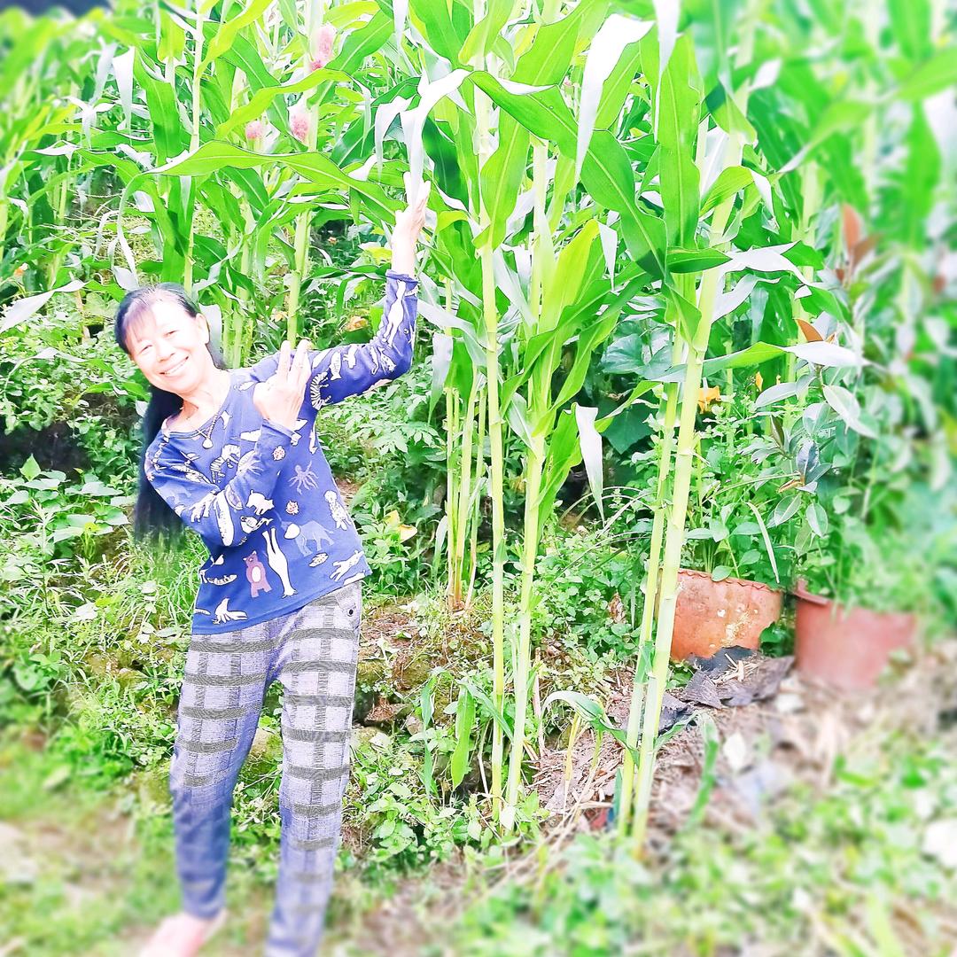 时光易逝(聊天主播)