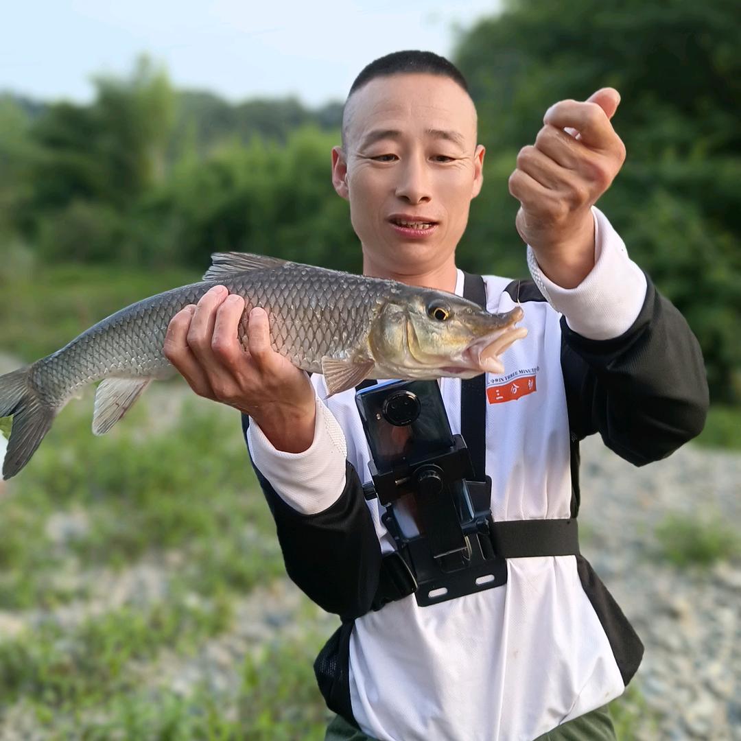 溪流野钓 华子🐠