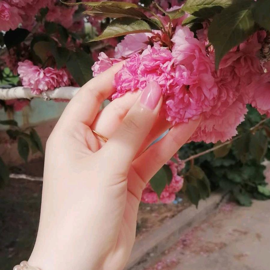 红运