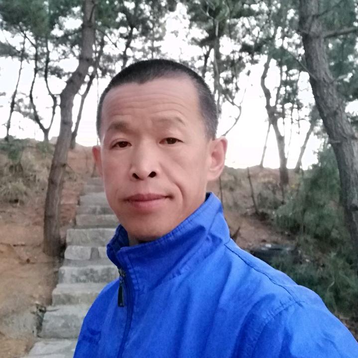 柳金林