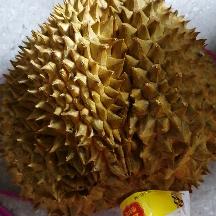 抖逗你