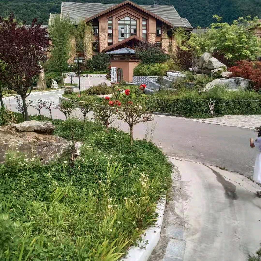 一生有你