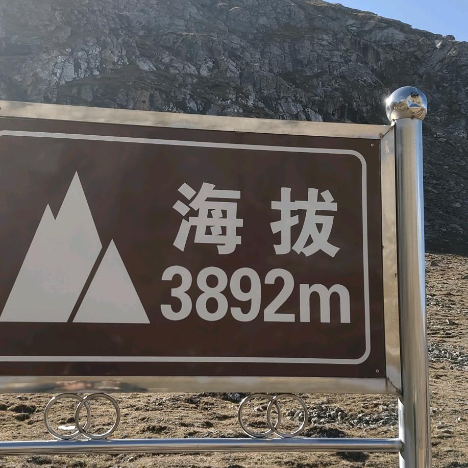 互友