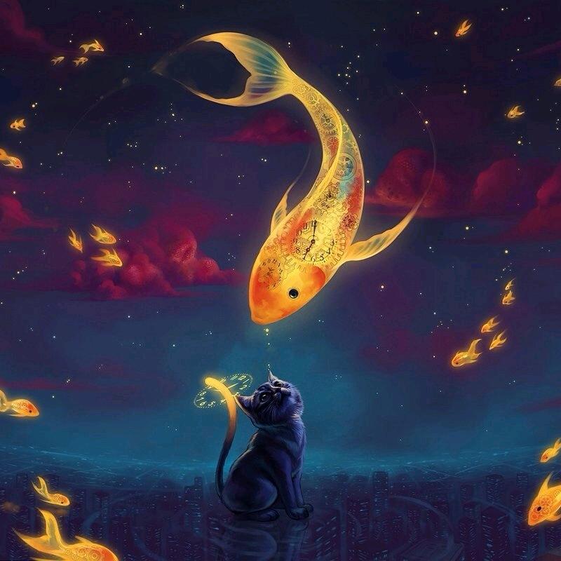 懒猫与咸鱼