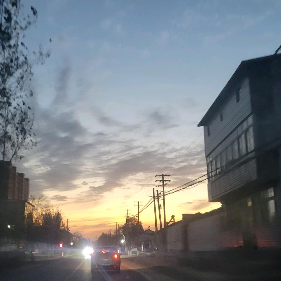 黄豆