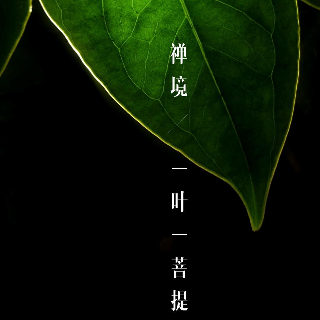 自强不息（好物推荐）