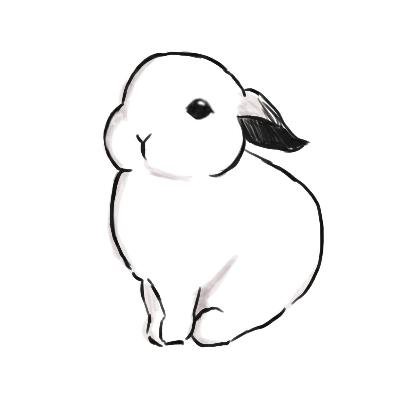 咸鱼皮