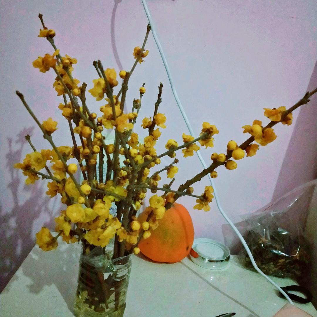。无名。