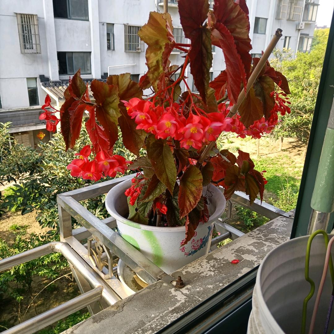 江苏省扬州市邗江区周美玲