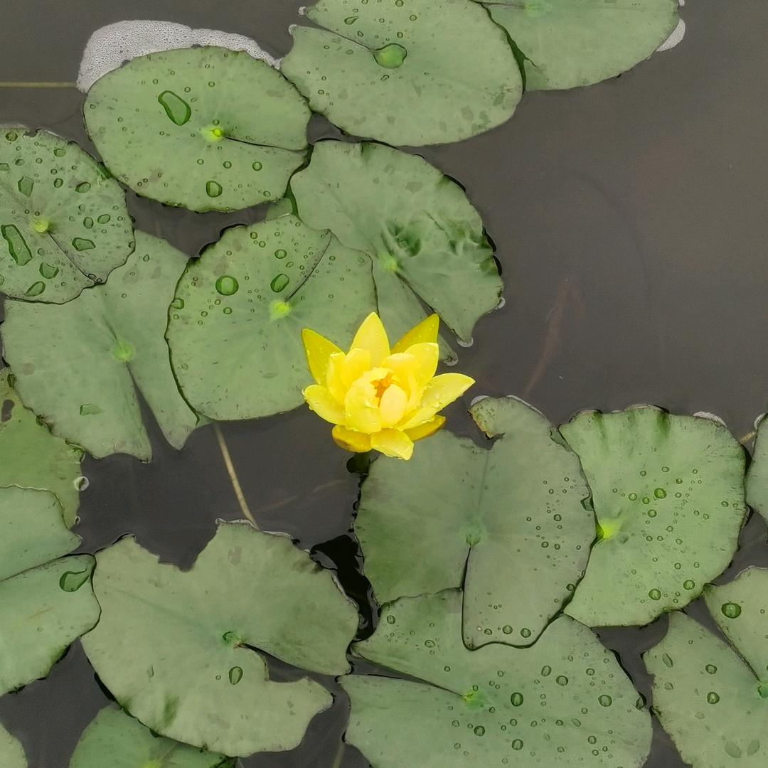 保留