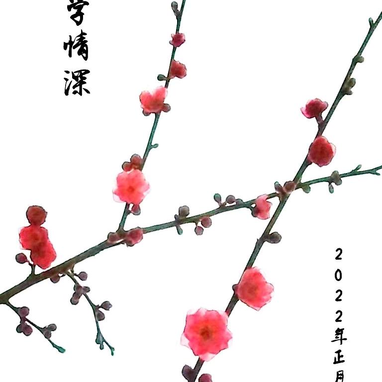 冰逸雪涵