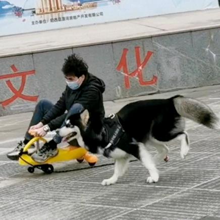 阿拉斯加哈记