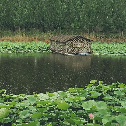 金钱散尽还复来