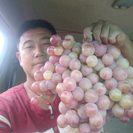 为谁等你