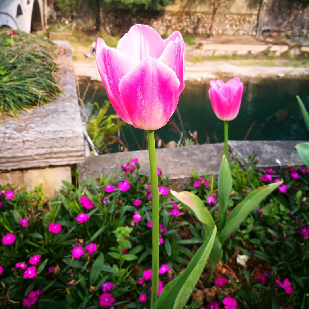 🌈€進進🍀🏖