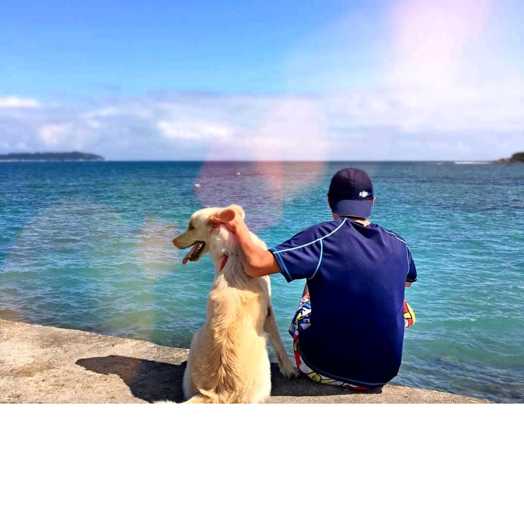 一起走过的日子