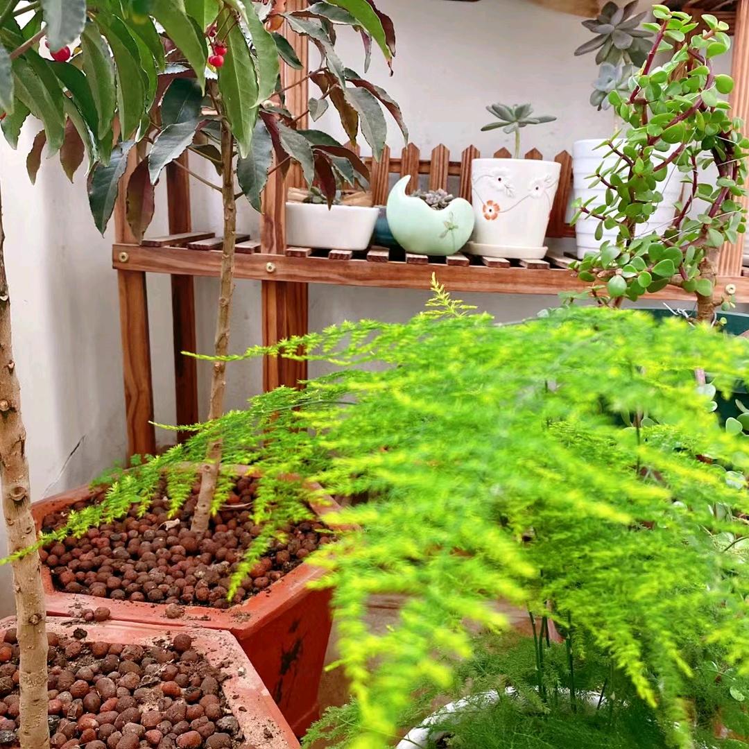 下雨记得带伞