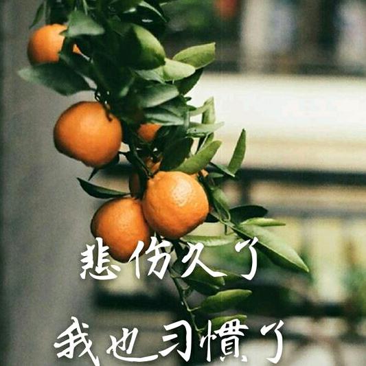 天也不懂情