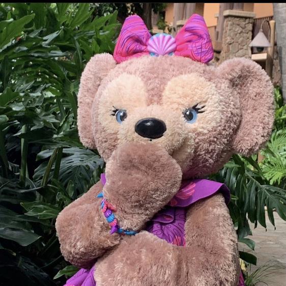我玫小仙熊🐻😘💋