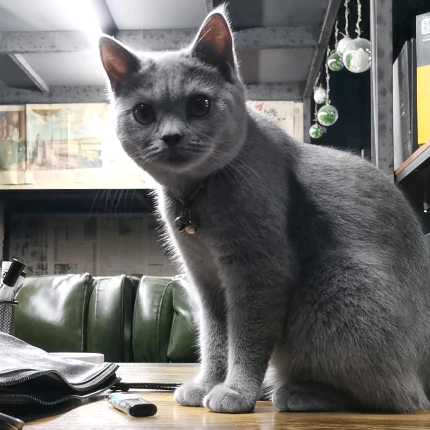 我是卑鄙