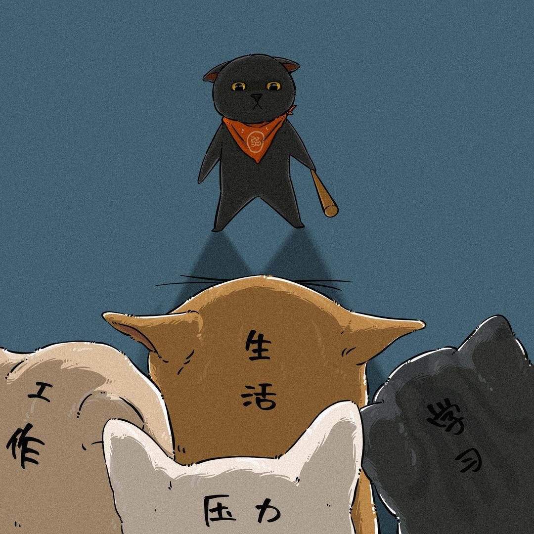 毛驴来啊