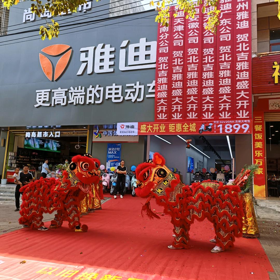 儋州雅迪(北吉二路店)