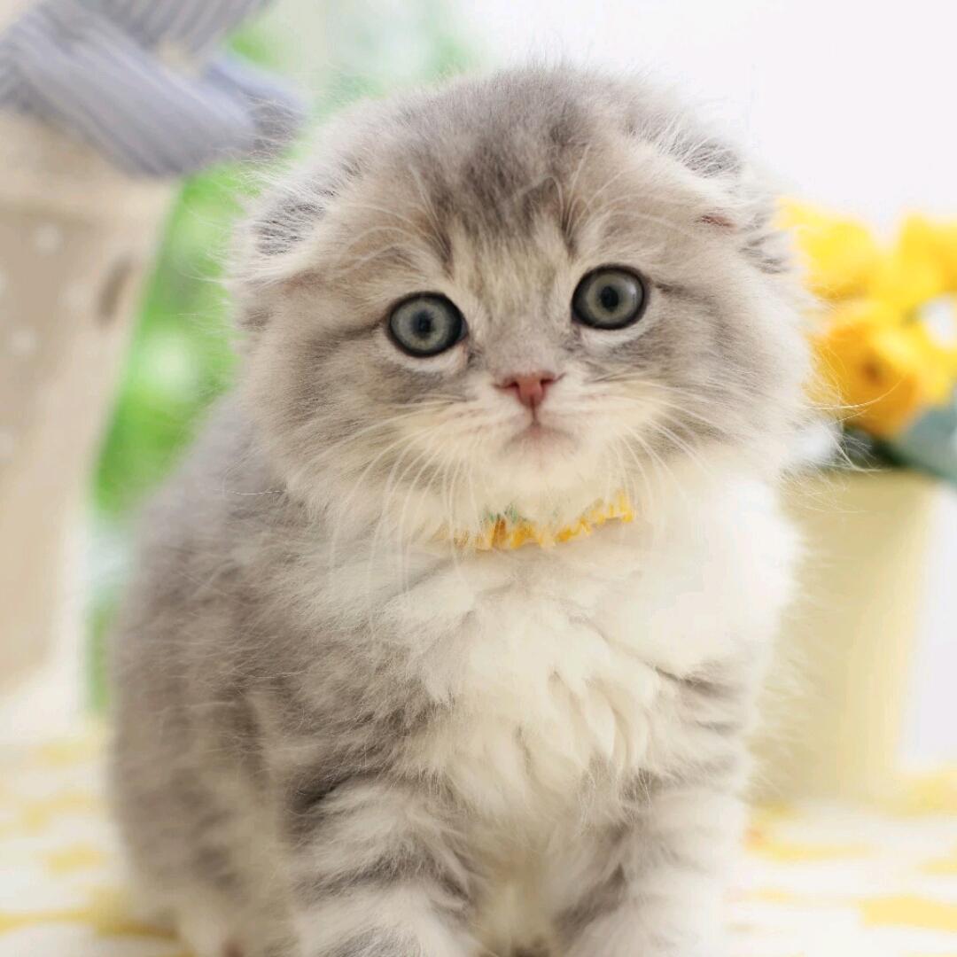 🌈惊蛰⭐👍⭐⑤