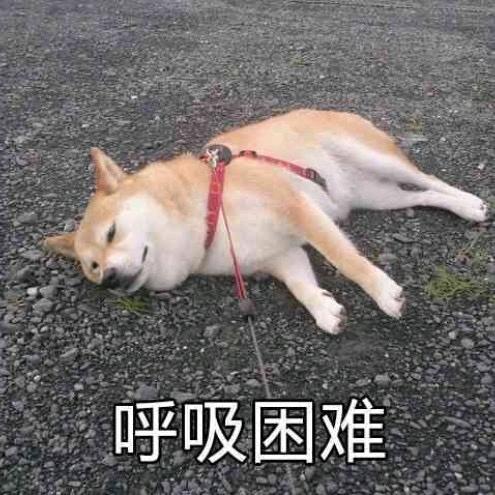 ❤️‍🔥哈哈哈哈哈哈哈哈哈哈哈哈哈哈