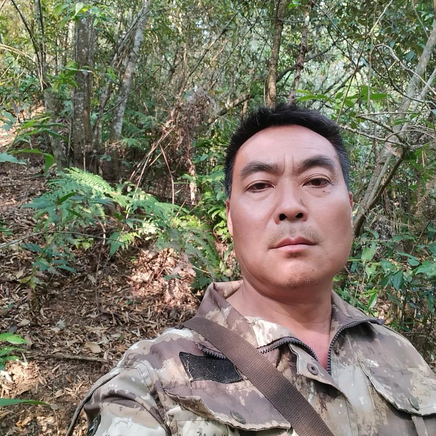老洪哥，