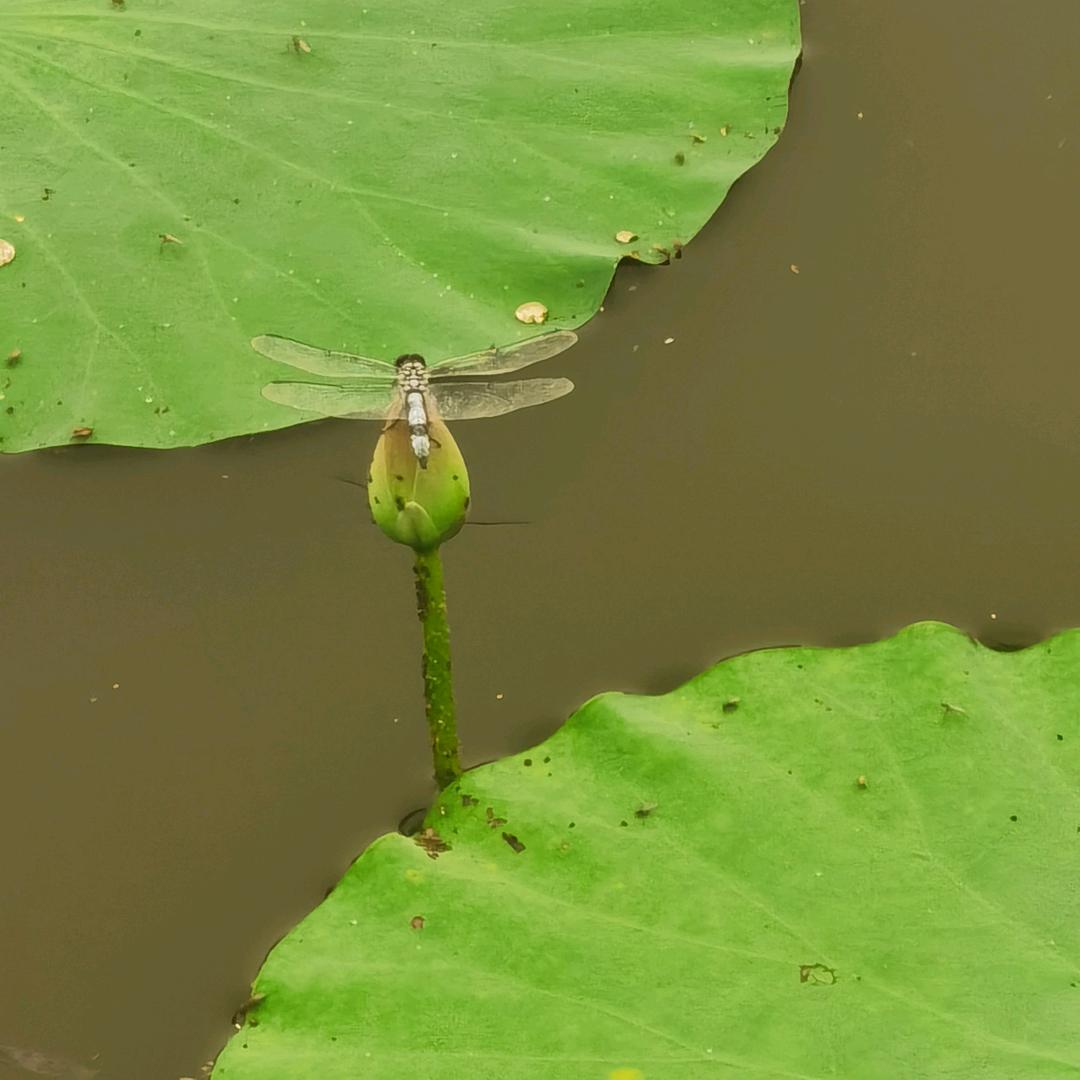沐泽