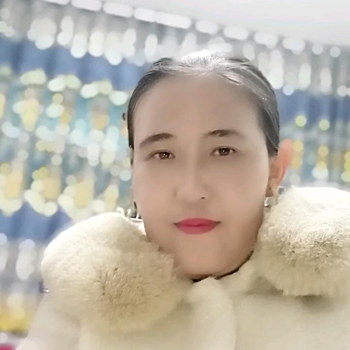 再依乃西