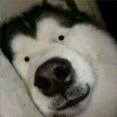 过去