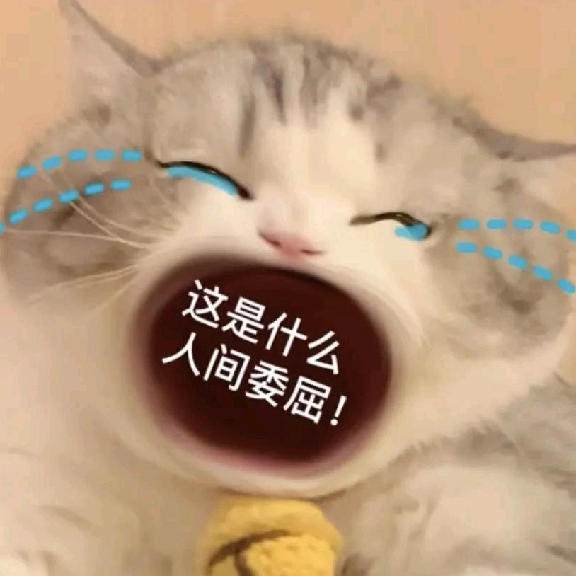 什么都怕的何小姐