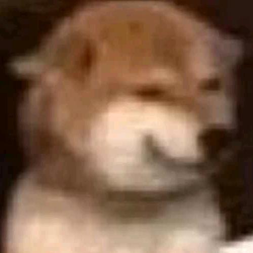 天e君