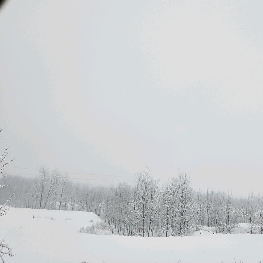 溜溜