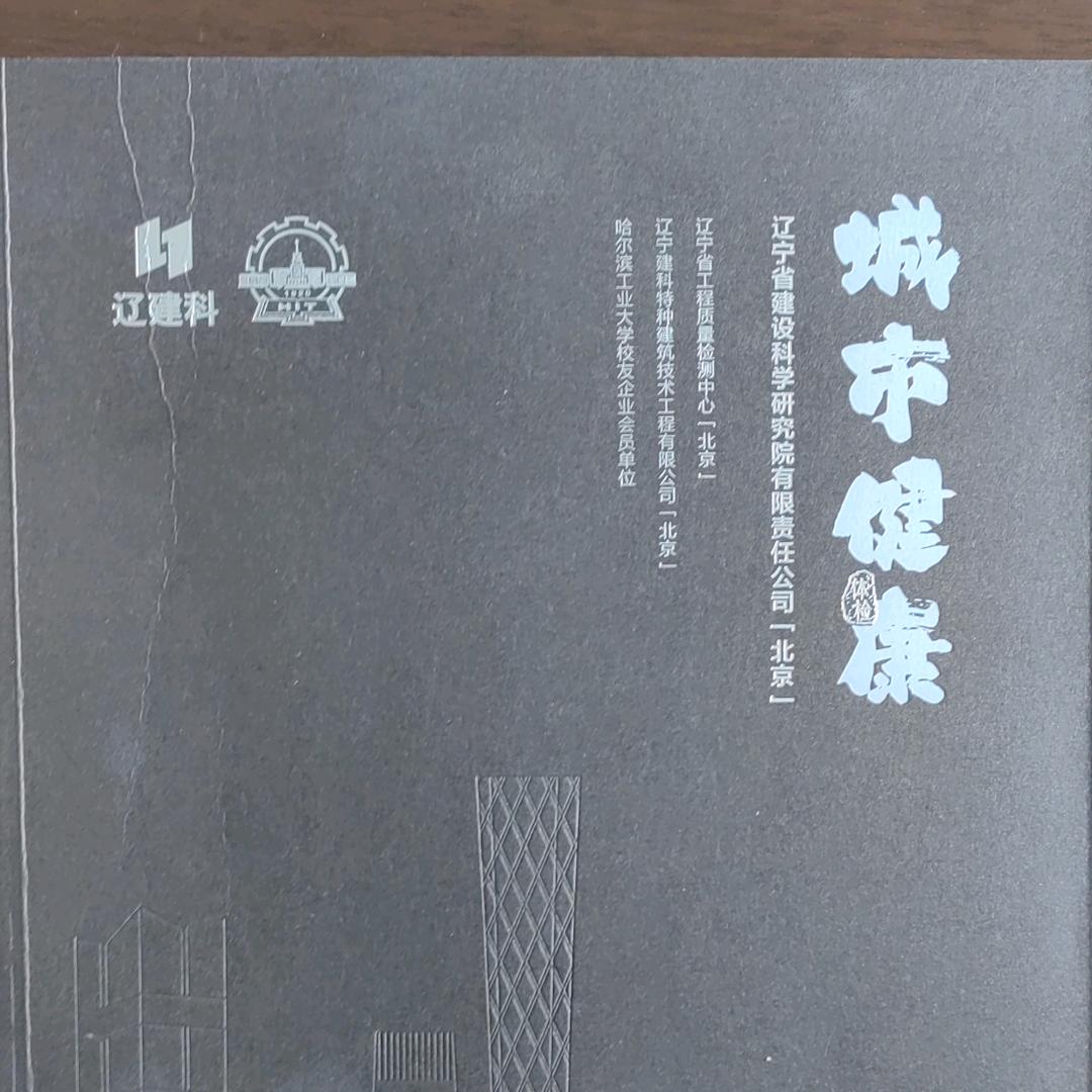 城市猎人（西北刀客）