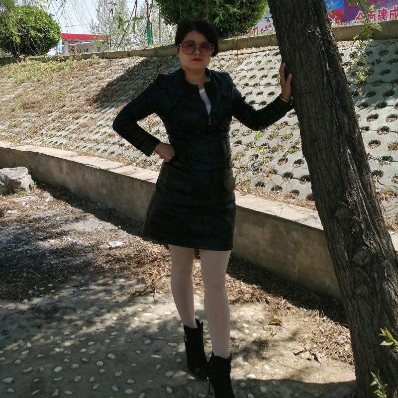 小菊
