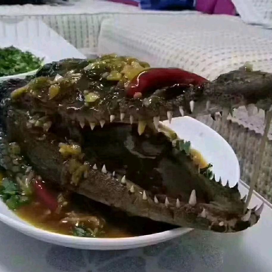 .精彩人生.