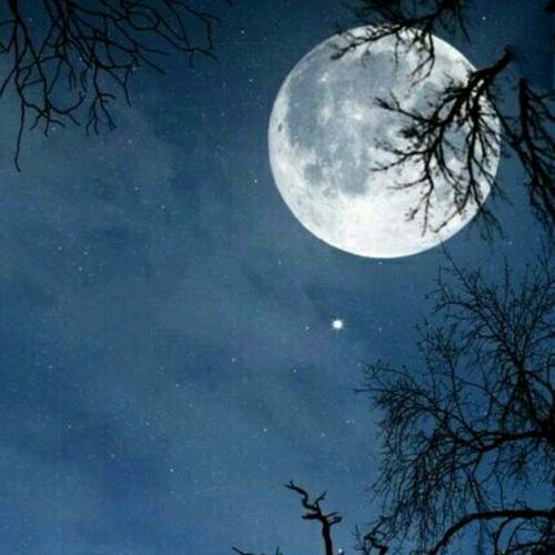 冷月孤星