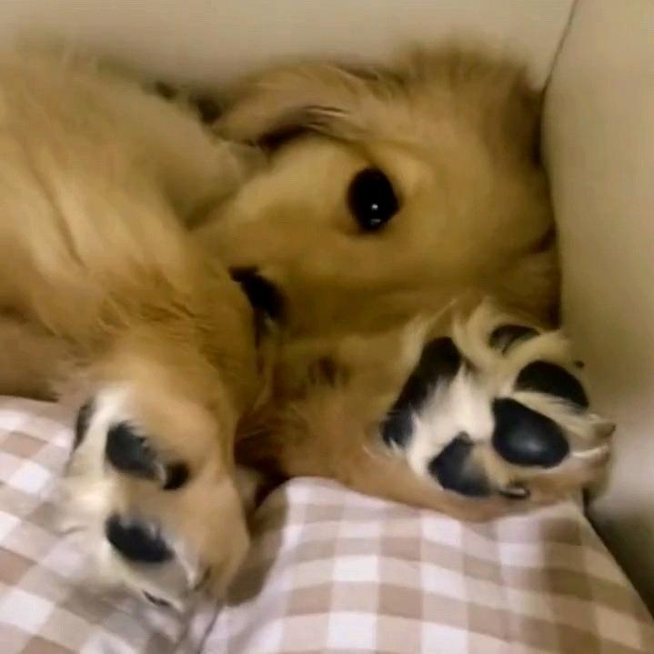 你懂个屁