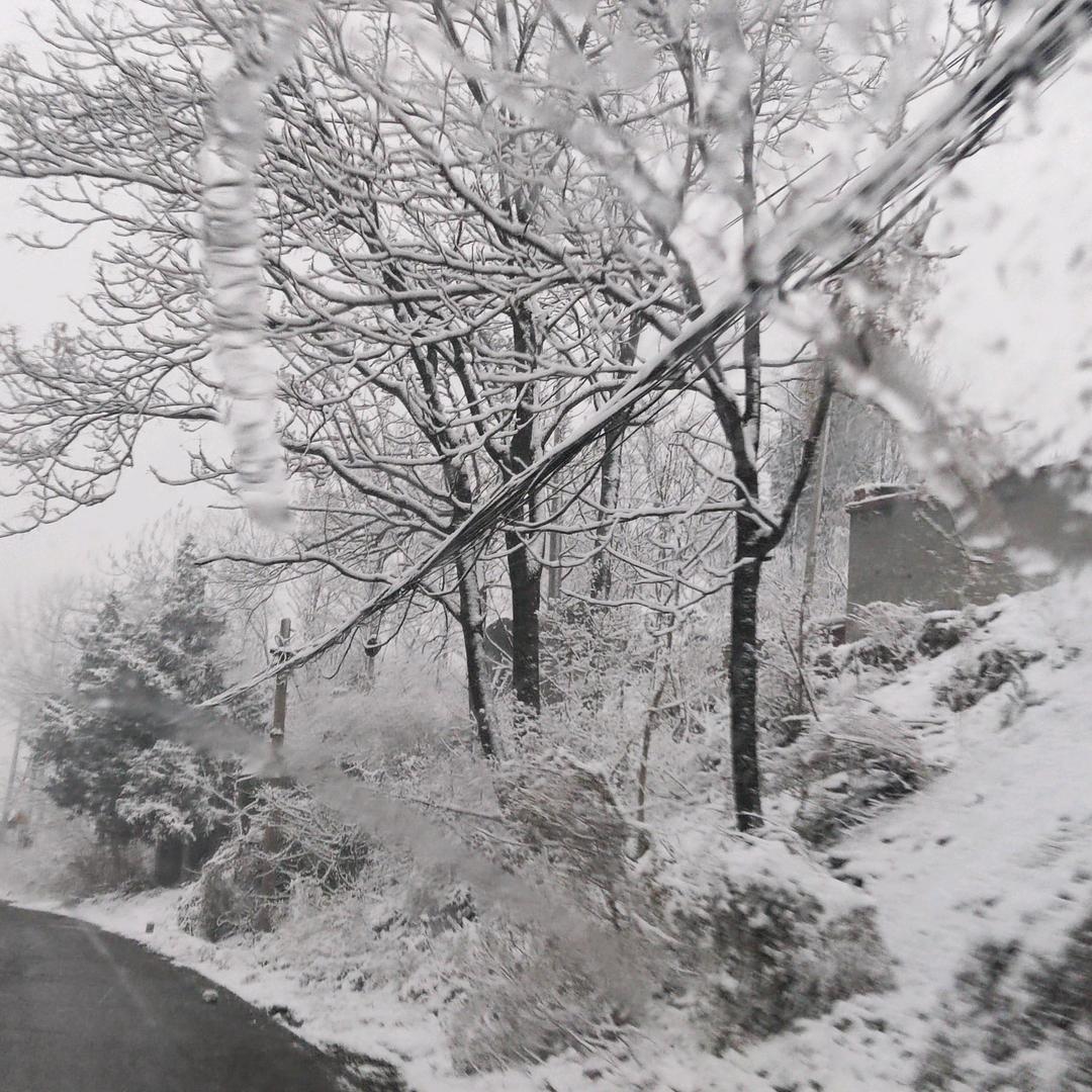 冰雪奇缘