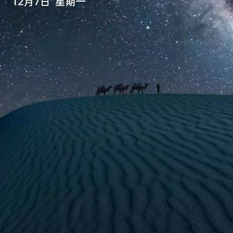 树欲静而风不止